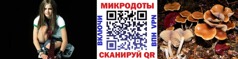 Купить Кола Псилоцибиновые грибы Magic Shrooms